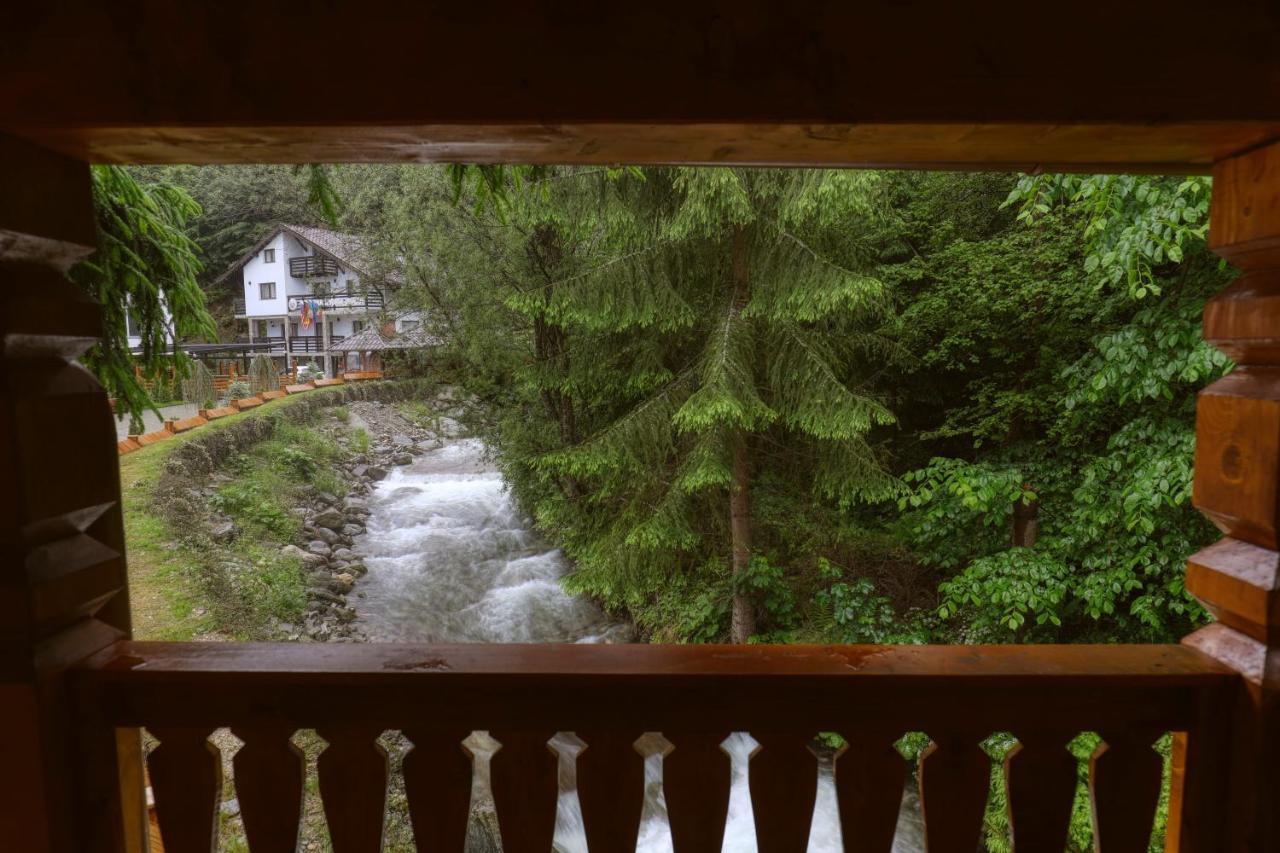 Hotel Ivascu Moisei Extérieur photo
